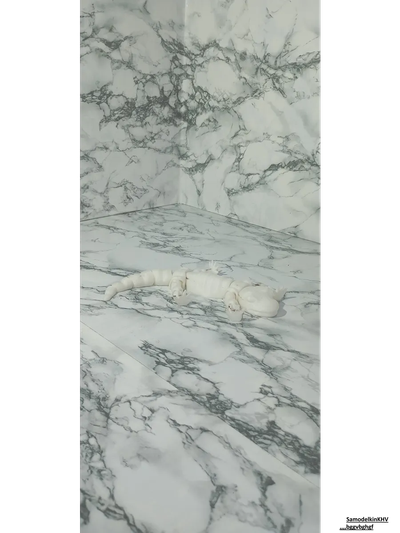 Саламандра