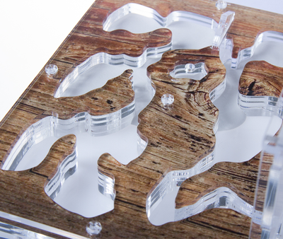 Формикарий комплект Antrum L дерево + колония Messor Structor