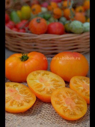 Томат Dwarf Lucky Swirl (Гном Завиток Удачи), 10 шт