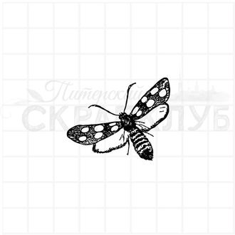 Штамп  с бабочкой с белыми крыльями