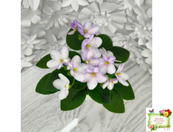 Белый Клоун (Е. и Я. Немчиновы) 2025 г. трейлер (укоренённый пасынок)