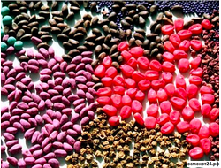 Протравители семян