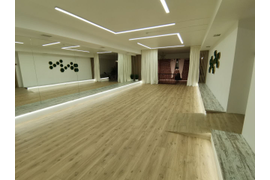 Зал № 3 танцевальный (65 кв.м.)