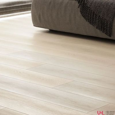 SPC ламинат FirstFloor Серый Дикий Лес 1F002 43 класс толщина 4.0 мм с фаской замковый 2.665 м2