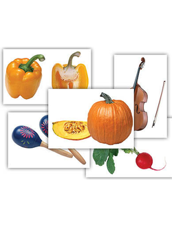 Набор предметных картинок "Овощи. Музыкальные инструменты" (48 шт., А4, с магнитами)