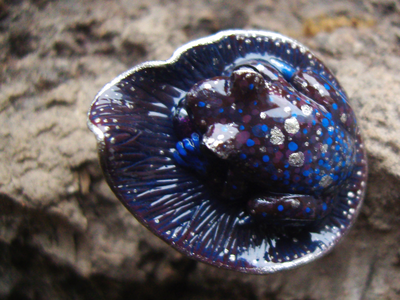 Космическое фэнтези-кольцо с лягушкой "Ведунья Алькора" с родолитом