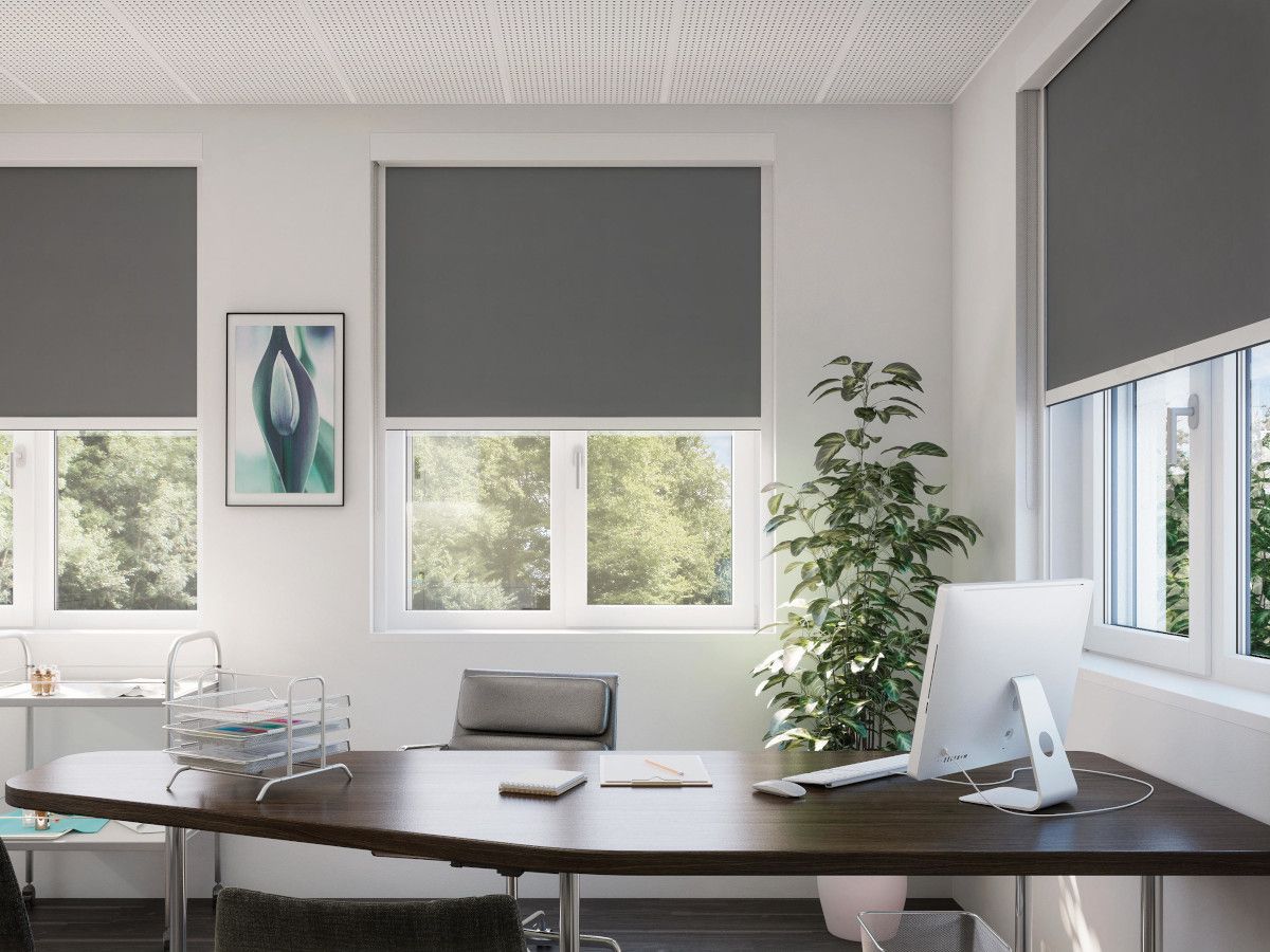 Рулонные шторы на окна офиса, серый цвет для рабочей обстановки