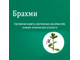 Брахми Хималая (Brahmi Himalaya) 60 таб.  / 250 Мг ( экстракт)