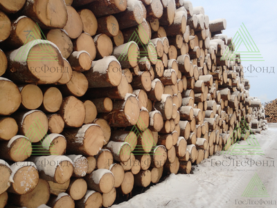 Пиловочник хвойный ель, сосна ГОСТ 9463-88, 18-60 см