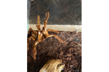 Уссурийск 2021