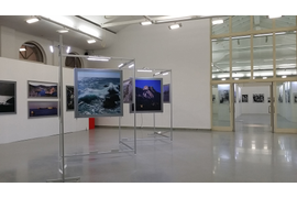 Организация выставки "Три цвета Крыма" в Москве