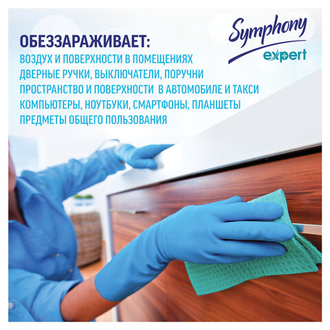 Средство антивирусное 250 мл, SYMPHONY EXPERT "Эвкалипт", аэрозоль, для ПОВЕРХНОСТЕЙ и воздуха, 37054, 4600104037054S