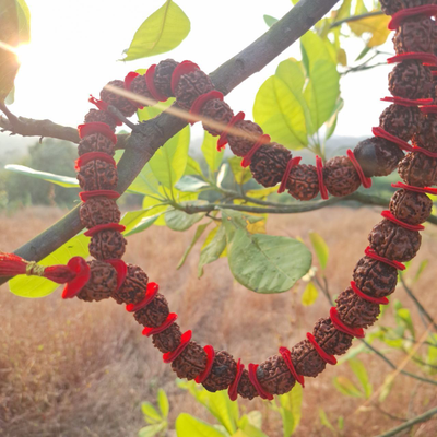 Четки Premium quality из натуральной крупной Рудракши 54 бусины красные