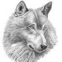 oleg144