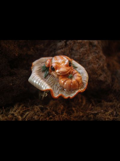 Кольцо с лягушкой "Принцесса Тыковка, наследница Урожайных Полей"