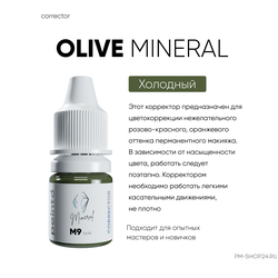 Корректор для бровей Peinto M9 Olive