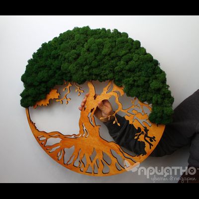 Живая Эко-Картина 1071