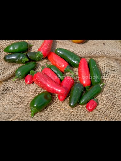 Перец острый Jalapeno Senorita (Халапеньо Сеньорита), 10 шт