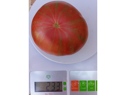 Томат Козула 127