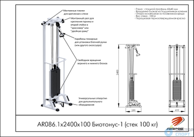 Биотонус-1 (стек 100 кг)