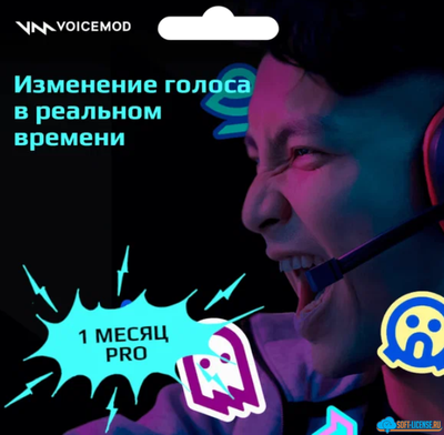 Voicemod Pro ключ на 1 месяц