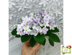 Белый Клоун (Е. и Я. Немчиновы) 2025 г. трейлер