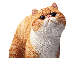 Какающий котик (рыжий) - Коллекционная ФИГУРКА 1/6 scale Half squatting Exotic Shorthair (JXK073C) - JXK
