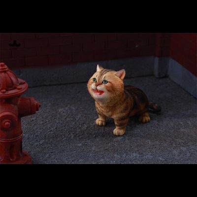 Крикливый котик - Коллекционная фигурка 1/6 Wa Wa Kitten (JXK277A) - JXK