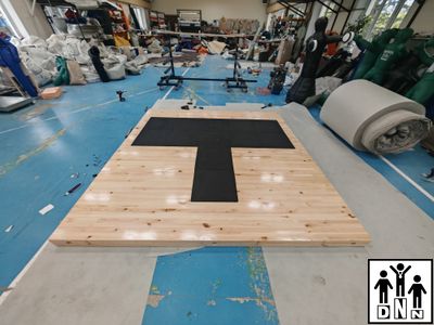 Помост для пауэрлифтинга 2,5х2,5х0,1м (Соревновательный), амортизаторы 8шт 0,5 х 0,5 х 0,04 м DNN