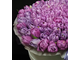 Коробка пионовидных тюльпанов, фиолетовые тюльпаны купить, огромный букет, цветы на 8 марта