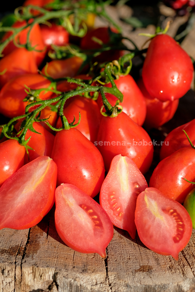 Томат Матрешка, 10 шт