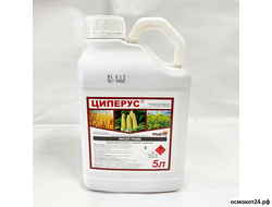 Циперус, КЭ (от 50мл до 5л)