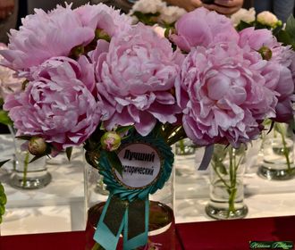 MRS. FRANKLIN D. ROOSEVELT