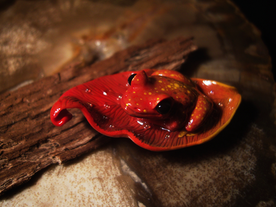 Фэнтезийная мини брошь-лягушка "Пламенная Лягва"