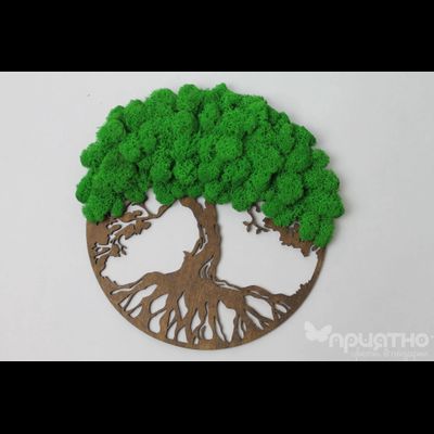 ЖИВАЯ ЭКО-КАРТИНА 1025