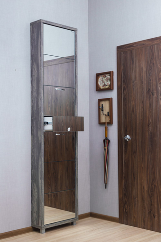 Обувница Айрон-6 Плюс (фасад Зеркало)