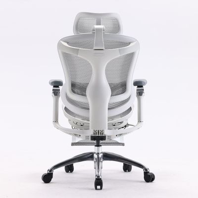 Ортопедическое кресло SIHOO Doro C300 Pro | серо-белое