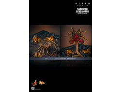 ПРЕДЗАКАЗ - Чужой (Ромул) - Коллекционная ФИГУРКА 1/6 Scorched Xenomorph Alien: Romulus (MMS784) - Hot toys ?ЦЕНА: 48600 РУБ.?