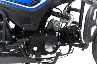 Мопед Motoland Альфа RS LUX 11 (LM48-B)