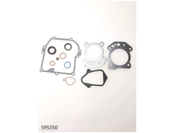 nabor-prokladok-09p702-briggs