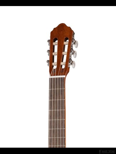Cort AC100-WBAG-SG