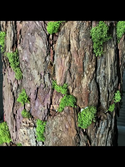 имитация ствола дерева в интерьере