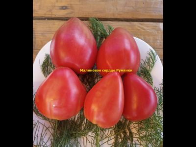Томат Малиновое сердце Румянки (Malinowe Serce Rumianki)