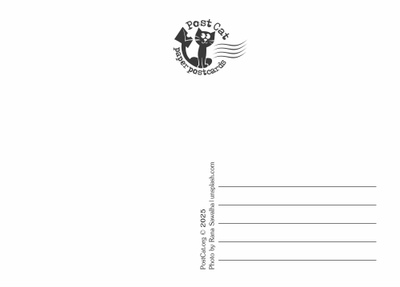 D0586 Удивленный кот