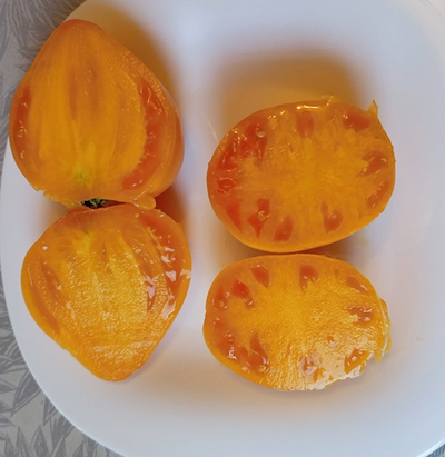 Томат Пастельное оранжевое сердце (Pastel Orange Heart)