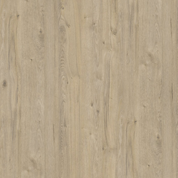 (К081) Столешница Дуб приморский сатиновый