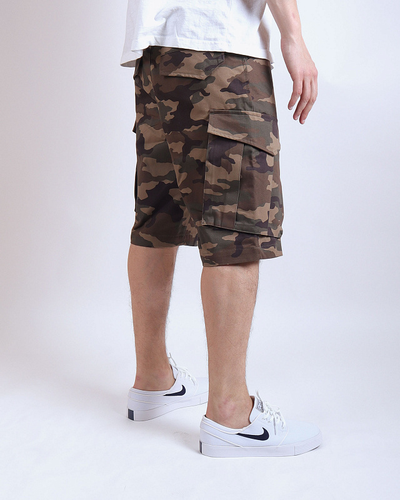 Шорты Anteater BCargoshorts Camo
