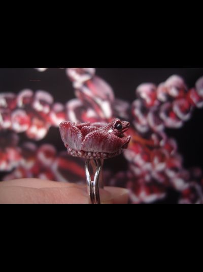 Парадное кольцо &quot;Дикий сербарин и лягушка&quot;