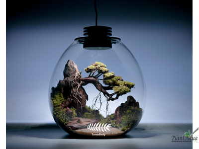 Биобутылка Biolark LED PD 170 (175мм х 195мм)