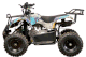 Квадроцикл YACOTA 50 4T